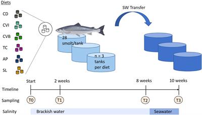 Microalgae as functional feed for Atlantic salmon: effects on growth, health, immunity, muscle fatty acid and pigment deposition